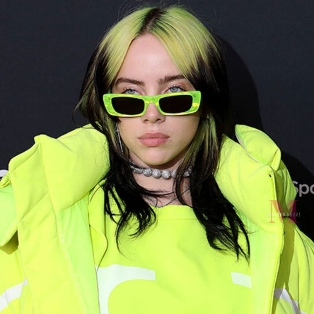 Billie Eilish Family Home Allegedly Burglarized - Mamaraazzi