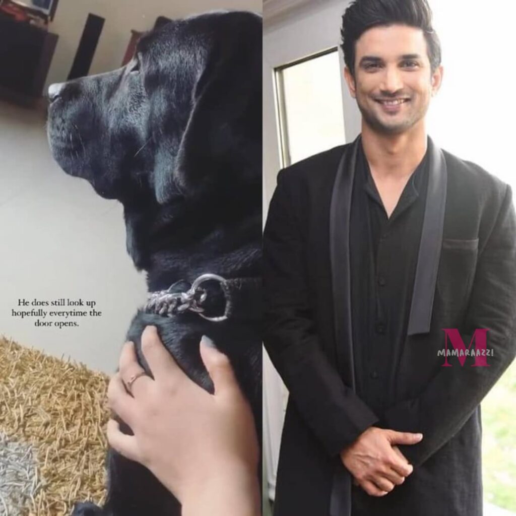 Sushant Singh Rajput